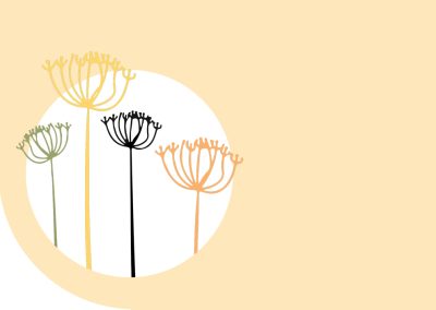 WELLINGTON COMMUNITY FUND ANNUAL REVIEW 2021/22